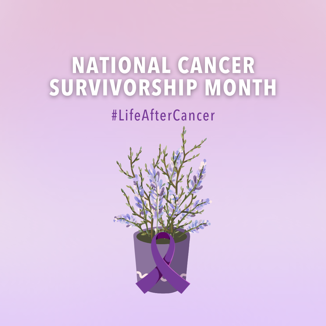 Image of purple potted plant, with purple cancer ribbon on an a pink and purple background. Text above image states "National Cancer Survivorship Month" #LifeAfterCancer
