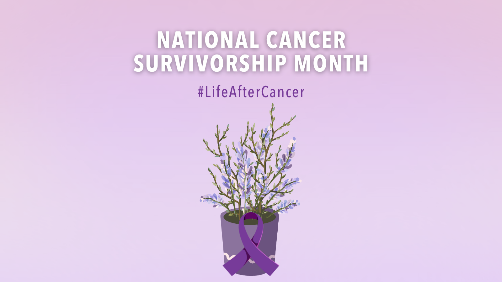 Image of purple potted plant, with purple cancer ribbon on an a pink and purple background. Text above image states "National Cancer Survivorship Month" #LifeAfterCancer